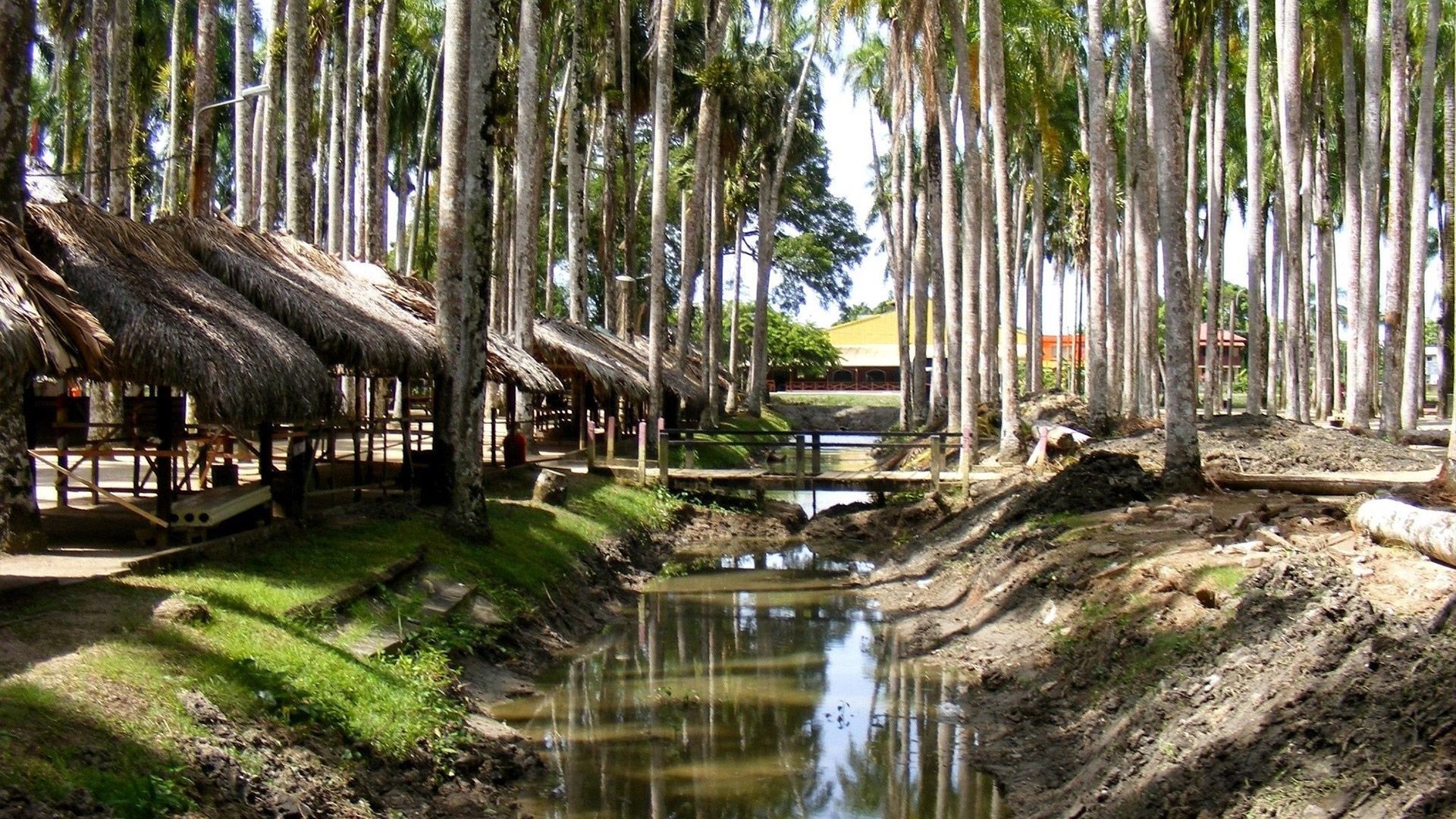 With PayPorter, you can make fast, easy and safe money transfers to Suriname at the most affordable prices!