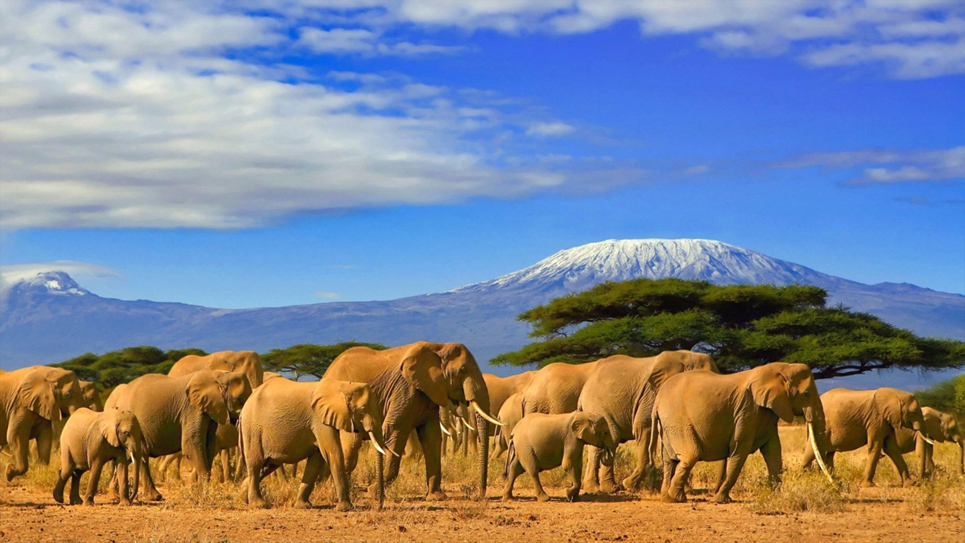 With PayPorter, you can make fast, easy and safe money transfers to Tanzania at the most affordable prices!